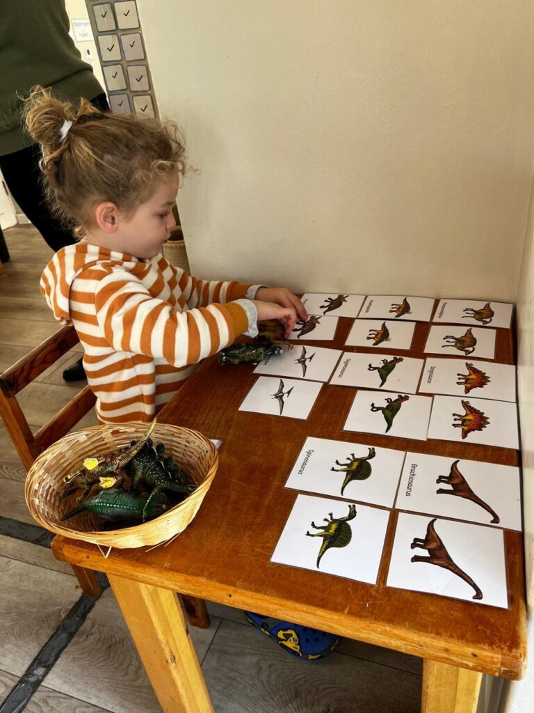 Dino matching cards